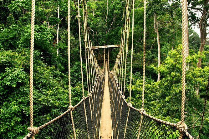 From Kuala Lumpur Taman Negara Day Trip With Lunch - Final Thoughts