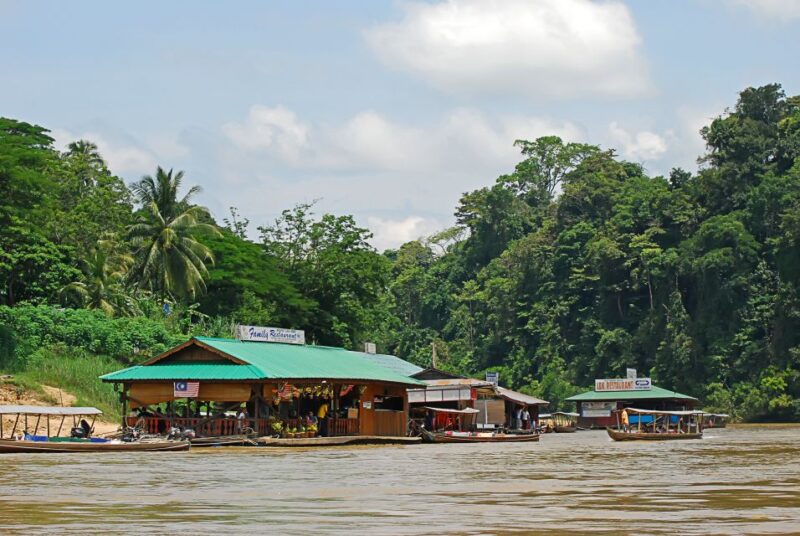 From Kuala Lumpur: Taman Negara National Park Day Tour - Included and Unsuitable Features