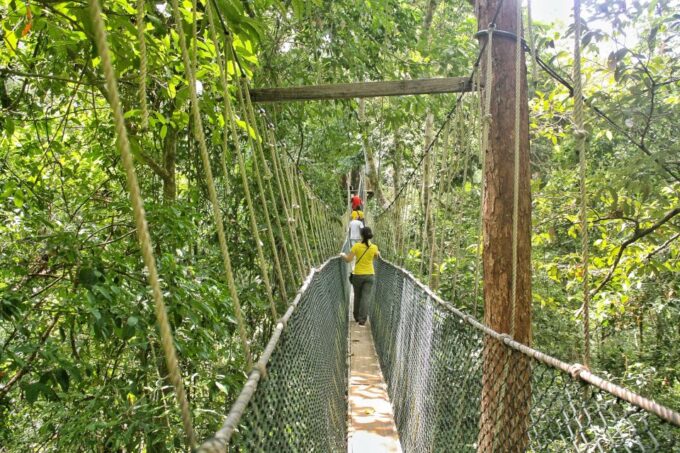 From Kuala Lumpur: Taman Negara National Park Day Tour - Customer Ratings and Reviews