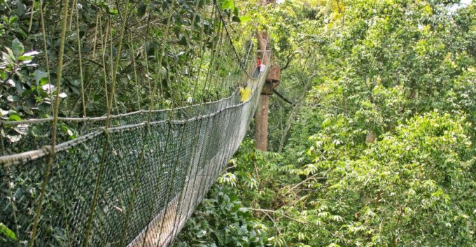 From Kuala Lumpur: Taman Negara National Park Day Tour - Tour Duration and Pricing