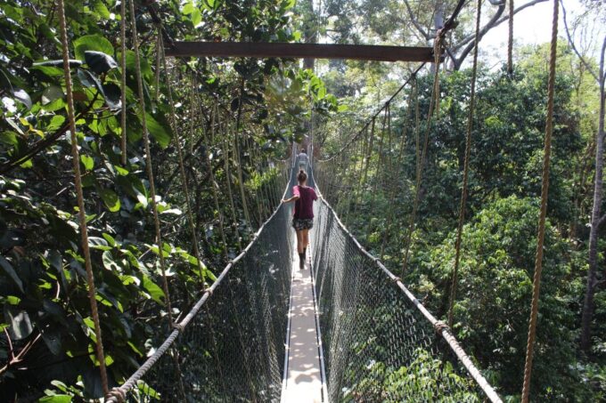 From Kuala Lumpur: Taman Negara National Park Day Tour - Cancellation and Pickup Policy