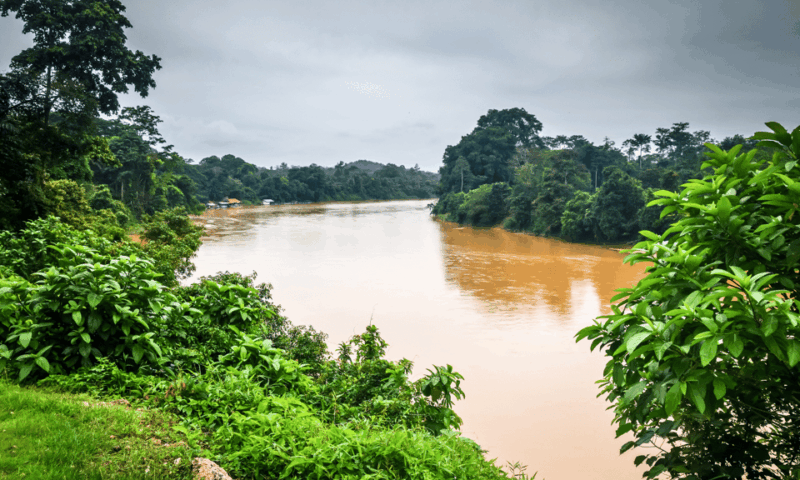From Kuala Lumpur: Taman Negara National Park Private Tour - Key Points