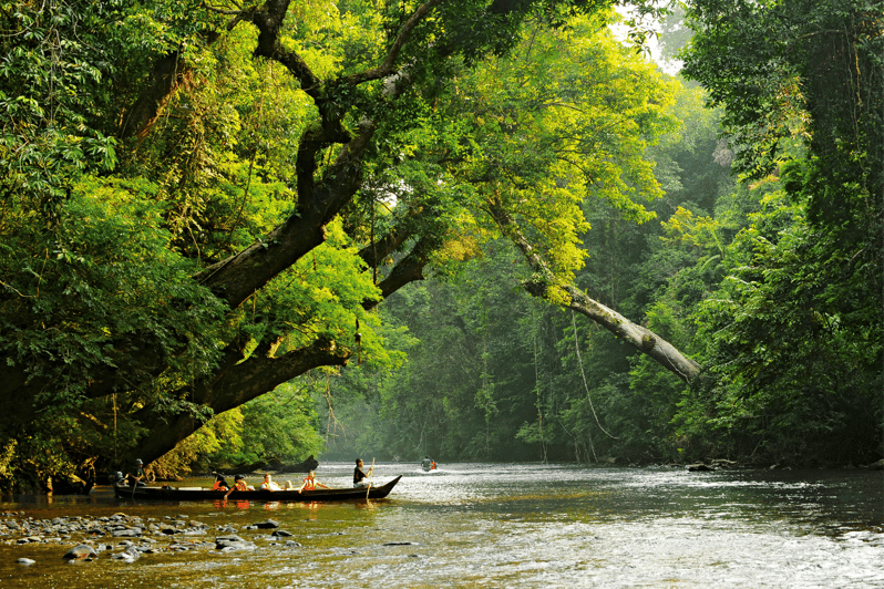 From Kuala Lumpur: Taman Negara National Park Private Tour - Transportation