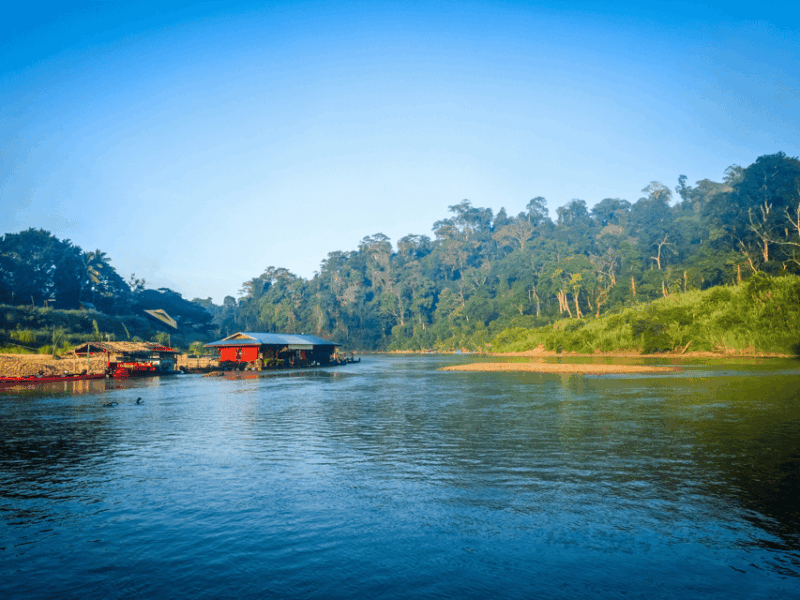 From Kuala Lumpur: Taman Negara National Park Private Tour - Activities