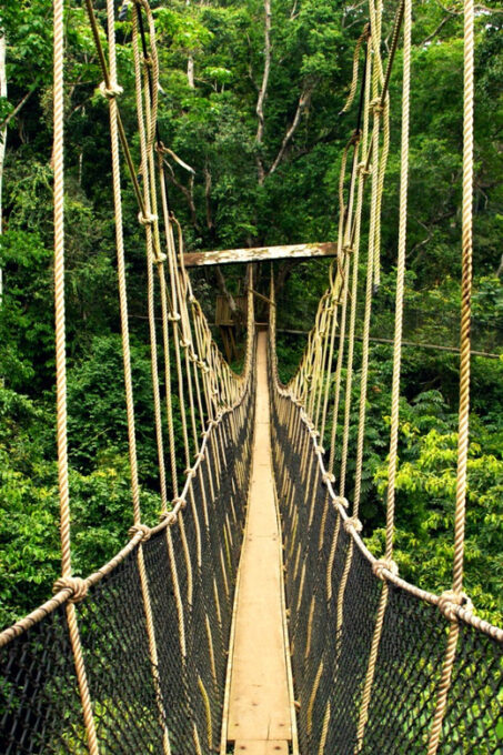 From Kuala Lumpur: Taman Negara National Park Private Tour - Inclusions