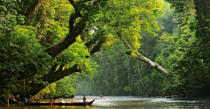 From Kuala Lumpur: Taman Negara National Park Private Tour - Important Information