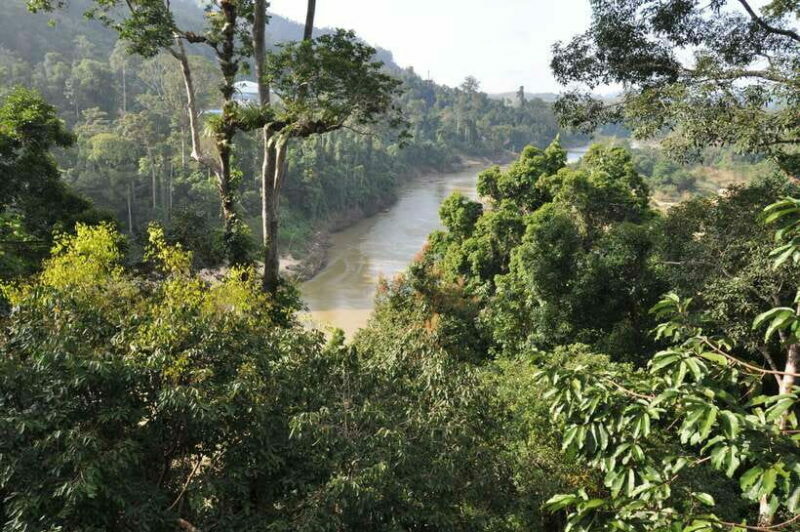 From Kuala Lumpur: Taman Negara National Park Trek Day Tour - A Thorough Look at the Day Trip to Taman Negara