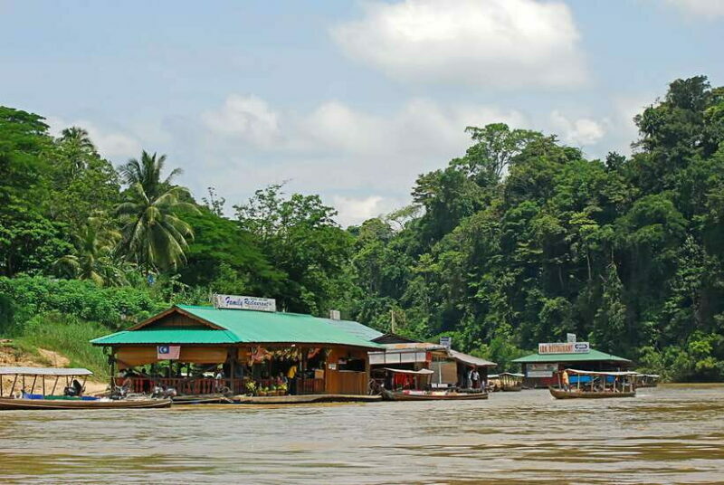 From Kuala Lumpur: Taman Negara National Park Trek Day Tour - Who Will Enjoy This Tour?