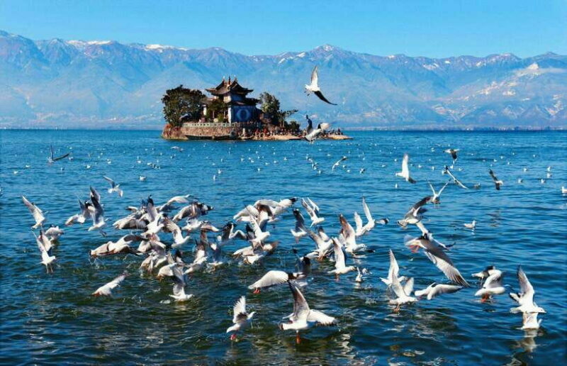 From Kunming: 9-Day Yunnan Highlights Tour with Bullet Train - Introduction: What’s on Offer?