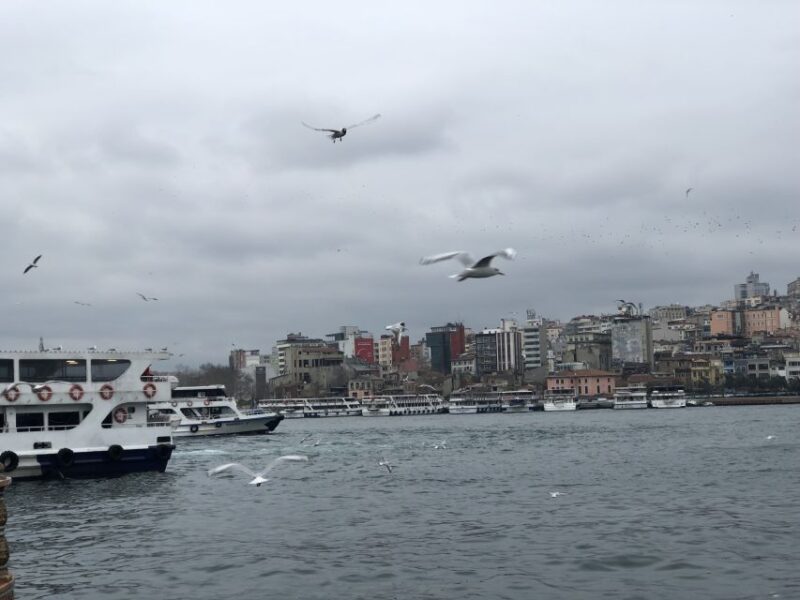 From Kusadasi: Istanbul Day Trip With Flights - Exploring the Blue Mosque