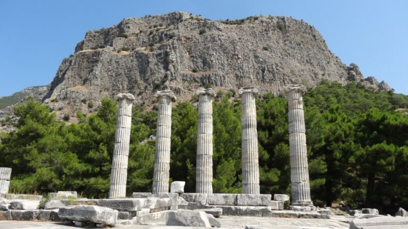 From Kusadası: Priene, Miletus, and Didyma Tour - Didyma: Temple of Apollo