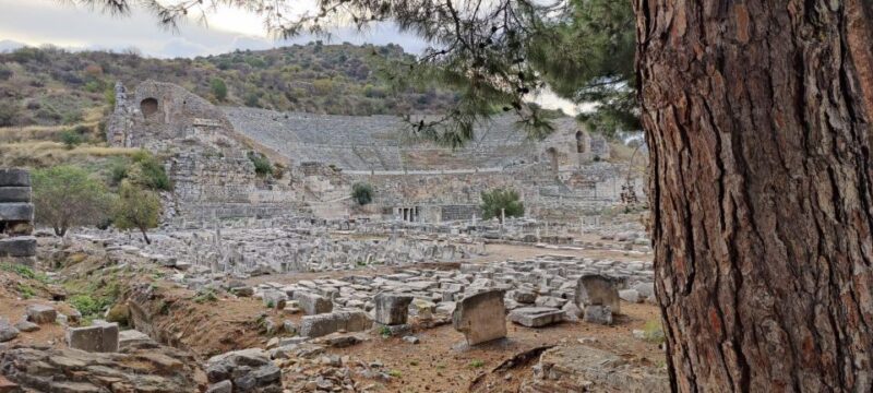 From Kusadası: Private Shore Excursion to Ephesus - Flexible Booking Options