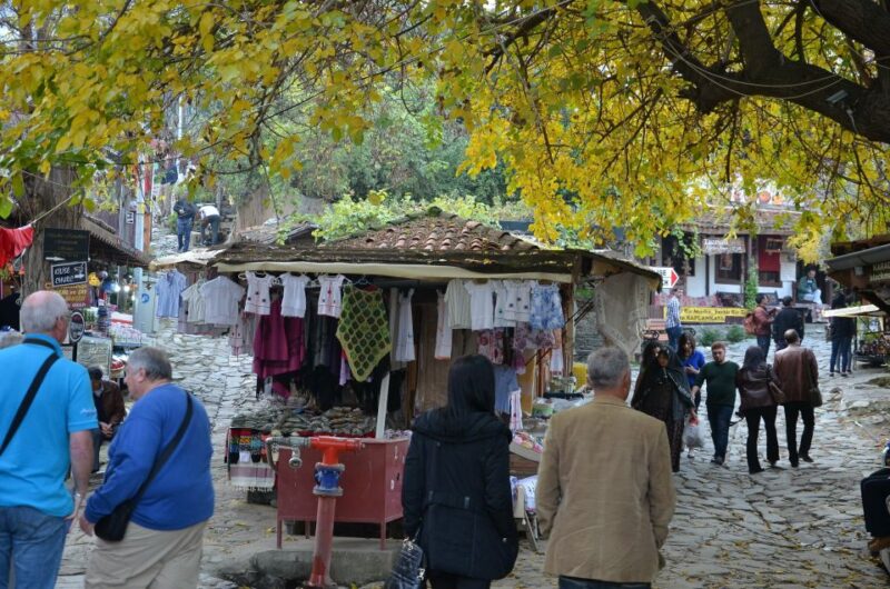 From Kusadasi: Sirince Village and Ephesus Tour - Languages and Cancellation