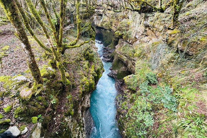 From Kutaisi: Canyons and Caves Tour With Transfer to Tbilisi - Feedback and Reviews