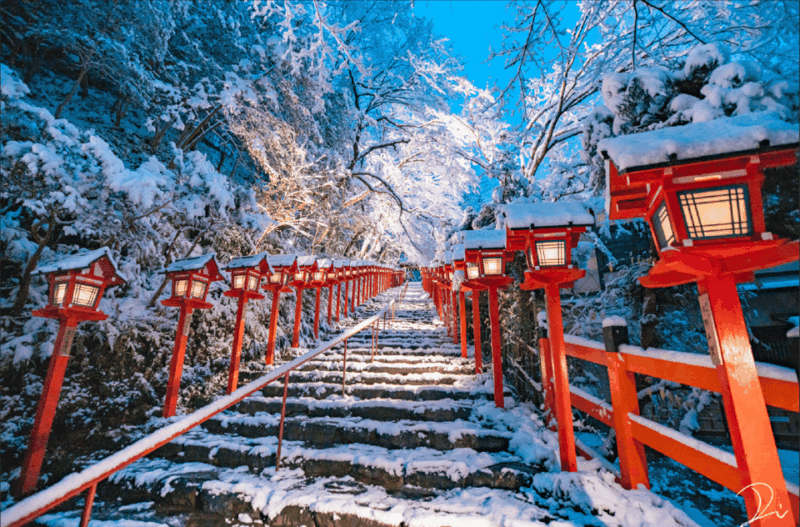 From Kyoto: Day Tour to Kifune Shrine+Kuruma Onsen - Key Points