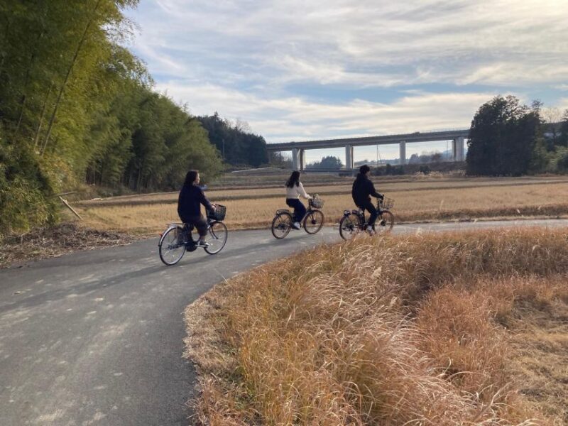 From Kyoto: E-Biking & Ninjas Training Mt. Hiking in Koka - Exploring the Twin Castles