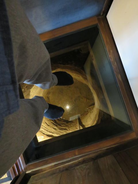 From Kyoto: E-Biking & Ninjas Training Mt. Hiking in Koka - Learning Ninja-style Coffee Making
