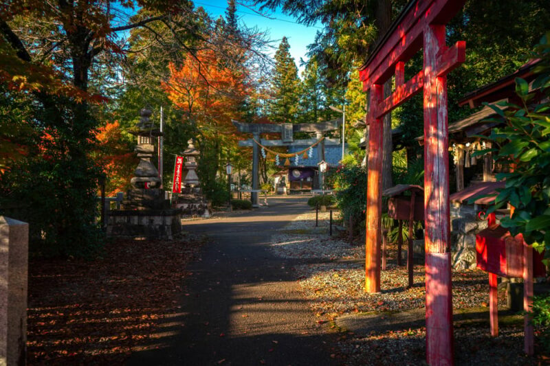 From Kyoto: Lake Biwa and Omi Hachiman Day Trip With Lunch - Itinerary Highlights