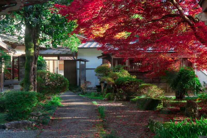 From Kyoto: Lake Biwa and Omi Hachiman Day Trip With Lunch - Experiences and Attractions