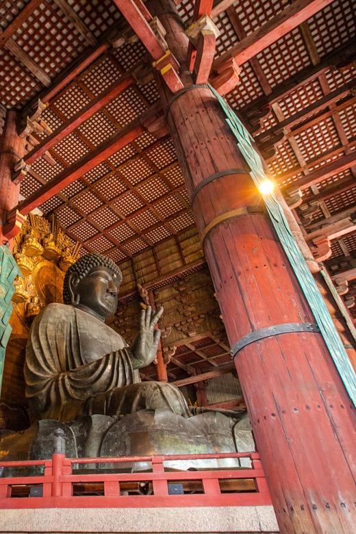 From Kyoto: Nara Guided Half Day Bus Tour - Key Attractions