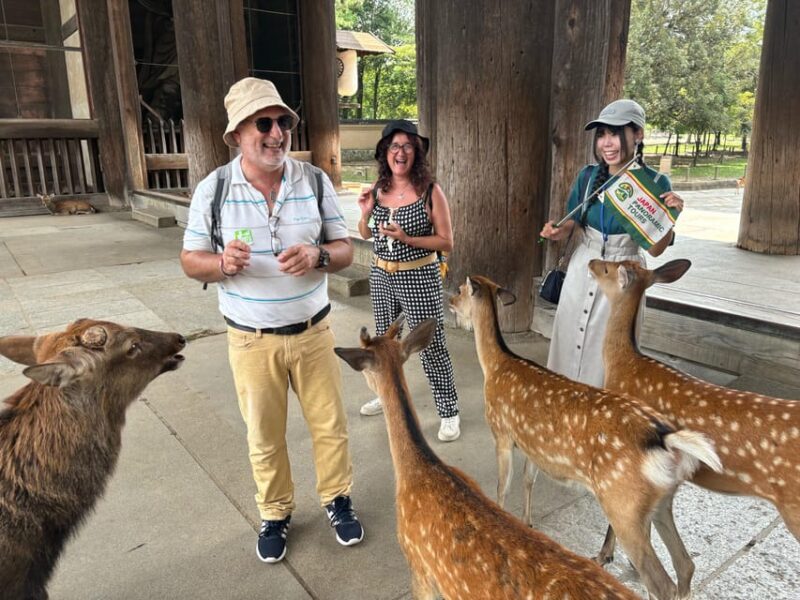 From Kyoto: Nara Guided Morning Tour - Key Points