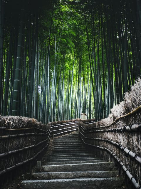 FROM Kyoto/Nara: Highlight Customized Trip With Hotel Pickup - Transportation and Amenities