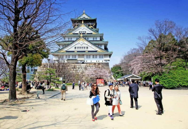 From Kyoto: Nara, Osaka & Kobe Day Trip  3 Cities in 1 Day - Real Experiences from Travelers