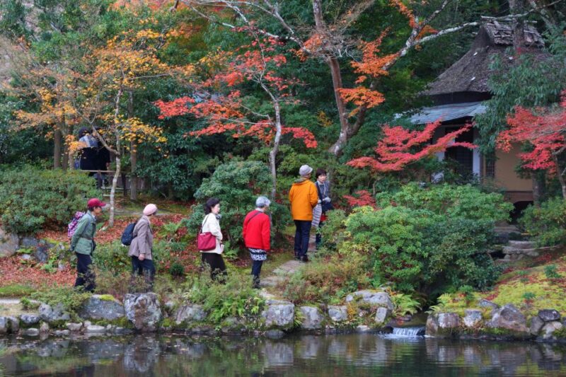 From Kyoto or Osaka: Private Walking Tour Through Nara - Key Points