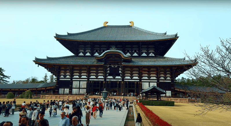 From Kyoto/Osaka: Nara Sightseeing Private Day Tour - Key Points