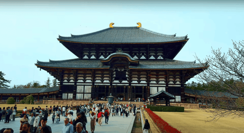 From Kyoto/Osaka: Nara Sightseeing Private Day Tour - Todaiji Temple Exploration