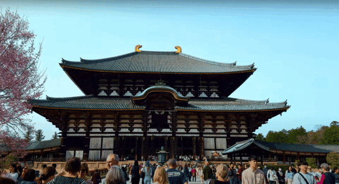 From Kyoto/Osaka: Nara Sightseeing Private Day Tour - Isuien Garden Wandering