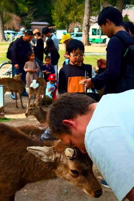 From Kyoto/Osaka: Nara Sightseeing Private Day Tour - Booking and Pickup Details