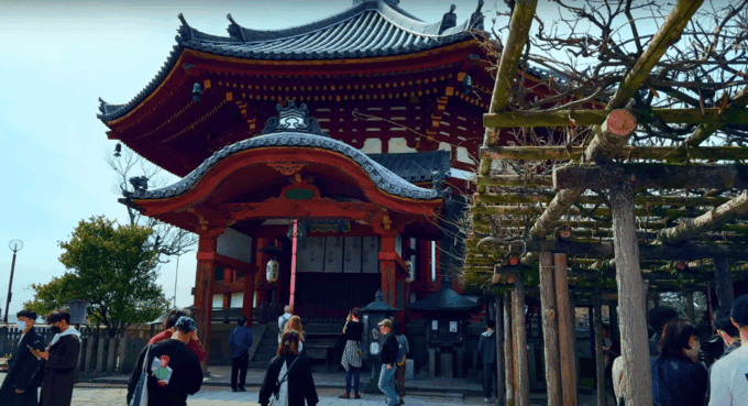 From Kyoto/Osaka: Nara Sightseeing Private Day Tour - Frequently Asked Questions