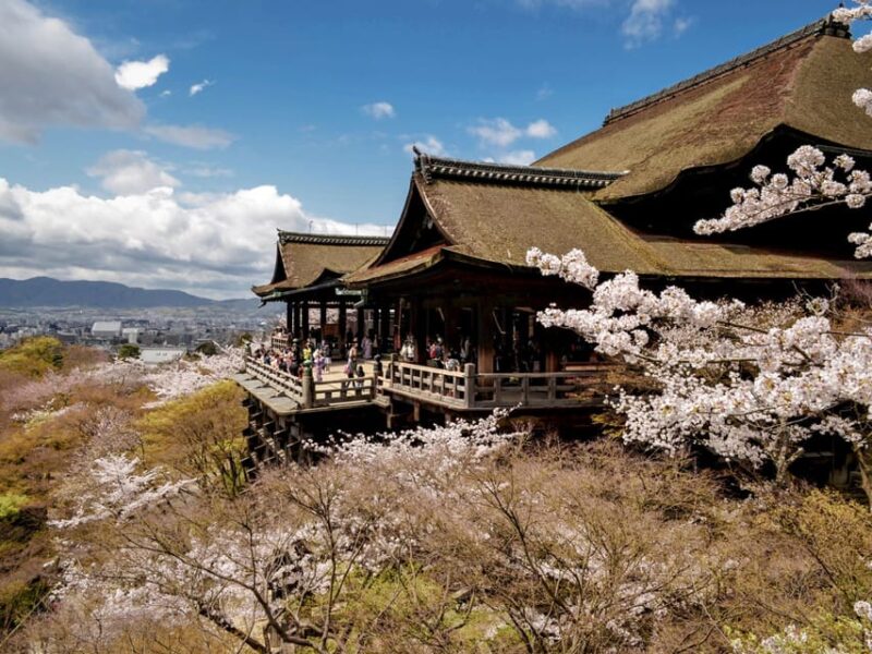 From Kyoto/Osaka: Sagano Train Ride and Guided Day Tour - Transportation and Amenities