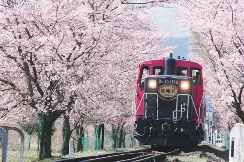 From Kyoto/Osaka: Sagano Train Ride and Guided Day Tour - Scenic Wonders of Kyoto