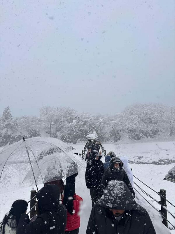 From Kyoto/Osaka: Shirakawa go and Takayama Private Tour - The Sum Up