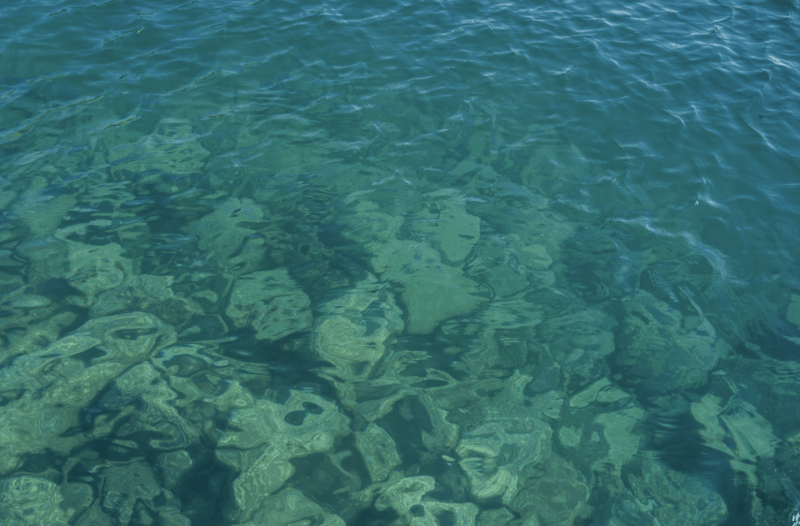 From Kyoto: Private Day Trip to Hidden Amanohashidate & Ine - Discovering the Charm of Ine Town