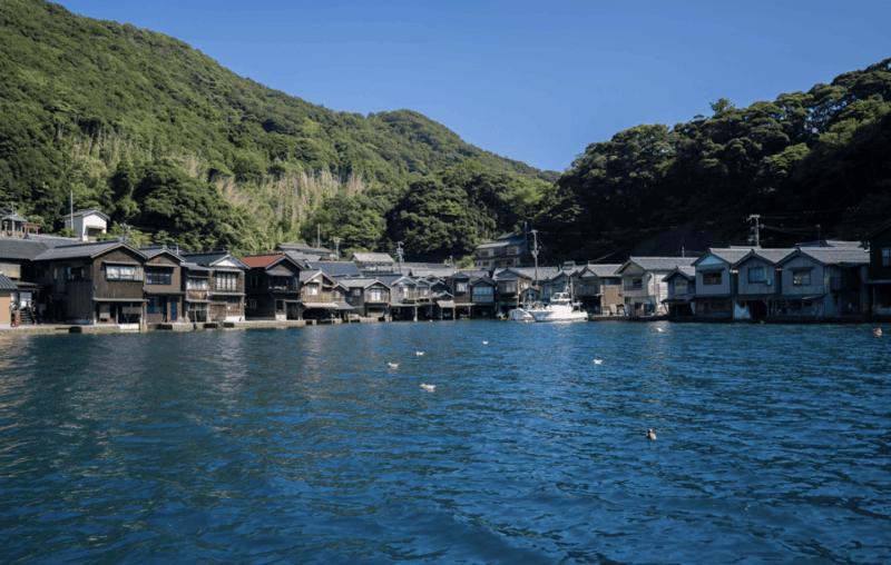 From Kyoto: Private Day Trip to Hidden Amanohashidate & Ine - Private Transportation and Personalized Experience