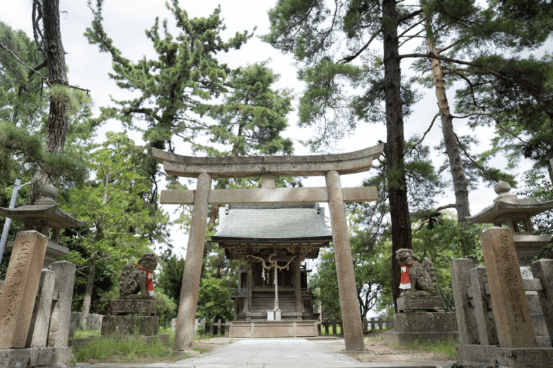 From Kyoto: Private Day Trip to Hidden Amanohashidate & Ine - Highlights of the Amanohashidate and Ine Tour