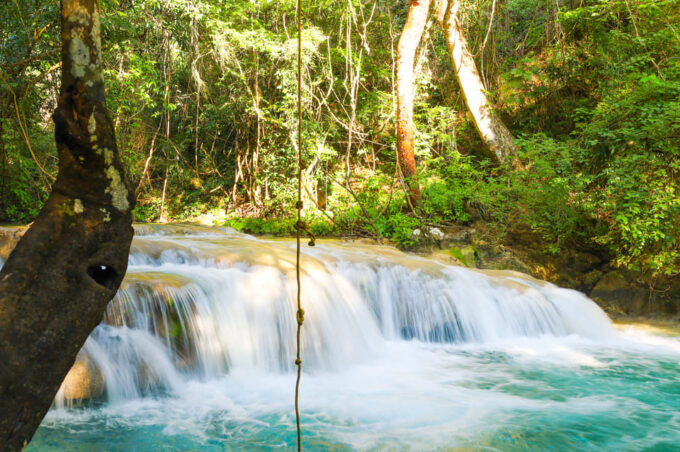 From La Crucecita: Sierra Madre Del Sur Day Trip - Regional Cuisine