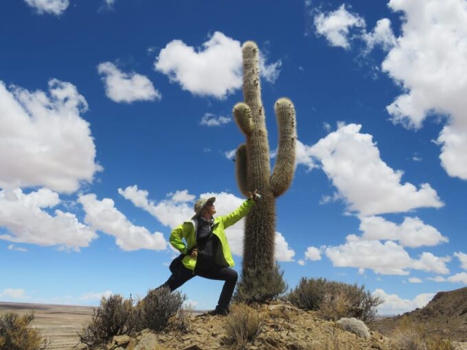 From La Paz: 2-Day Salar De Uyuni to Atacama Chile by Flight - Transportation