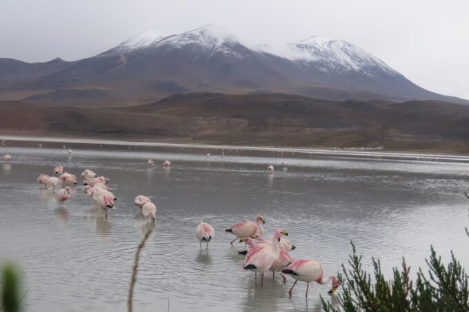 From La Paz: 2-Day Salar De Uyuni to Atacama Chile by Flight - Activity Details