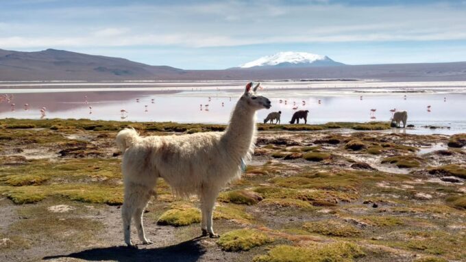 From La Paz: 2-Day Salar De Uyuni to Atacama Chile by Flight - Frequently Asked Questions