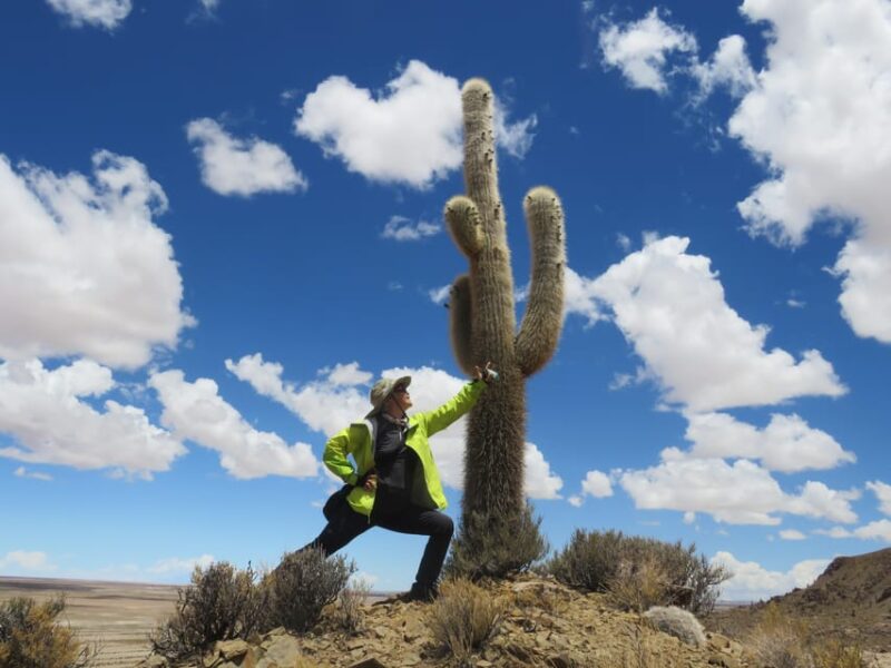 From La Paz: 2-Day Salar De Uyuni to Atacama Chile by Flight - Colorful Lagoons and Landscapes