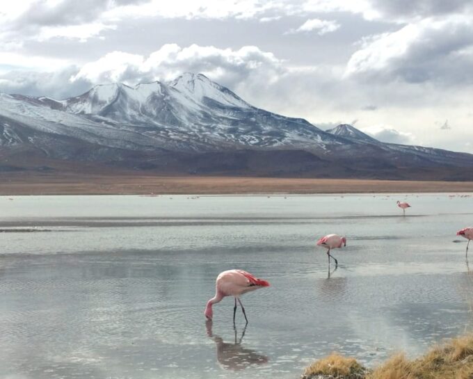 From La Paz: 2-Day Salar De Uyuni to Atacama Chile by Flight - Frequently Asked Questions