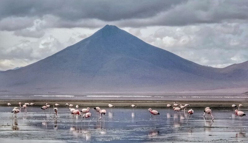 From La Paz: 2-Day Uyuni Salt Flats & Red Lagoon by Flight. - Included Services