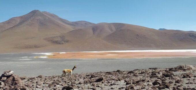 From La Paz: 2-Day Uyuni Salt Flats & Red Lagoon by Flight. - Uyuni Salt Flats and Sights