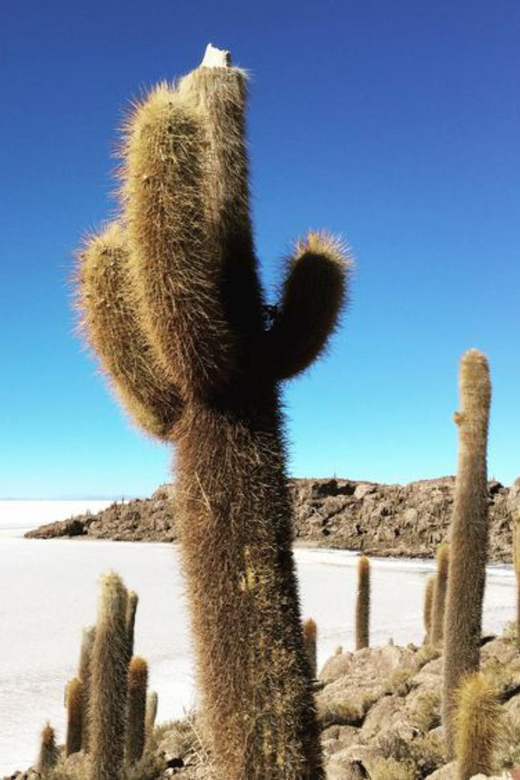 From La Paz: 3-Day Trip to La Paz and the Uyuni Salt Flats - Meals and Dining