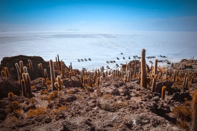 From La Paz: 4-Day Trip to San Pedro De Atacama W/Salt Flats - Departure and Arrival