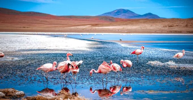 From La Paz: 4-Day Trip to San Pedro De Atacama W/Salt Flats - Frequently Asked Questions